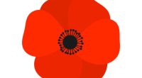 A gentle reminder that all schools will be closed on Tuesday, November 11th in recognition of Remembrance Day. Classes will resume as usual on Wednesday, November 12th. We encourage all [&hellip;]